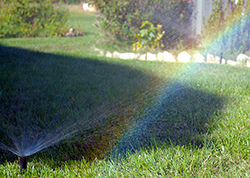 Irrigation System Spring Start Up Service